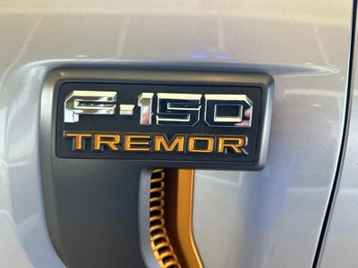 2021 Ford F-150 Tremor